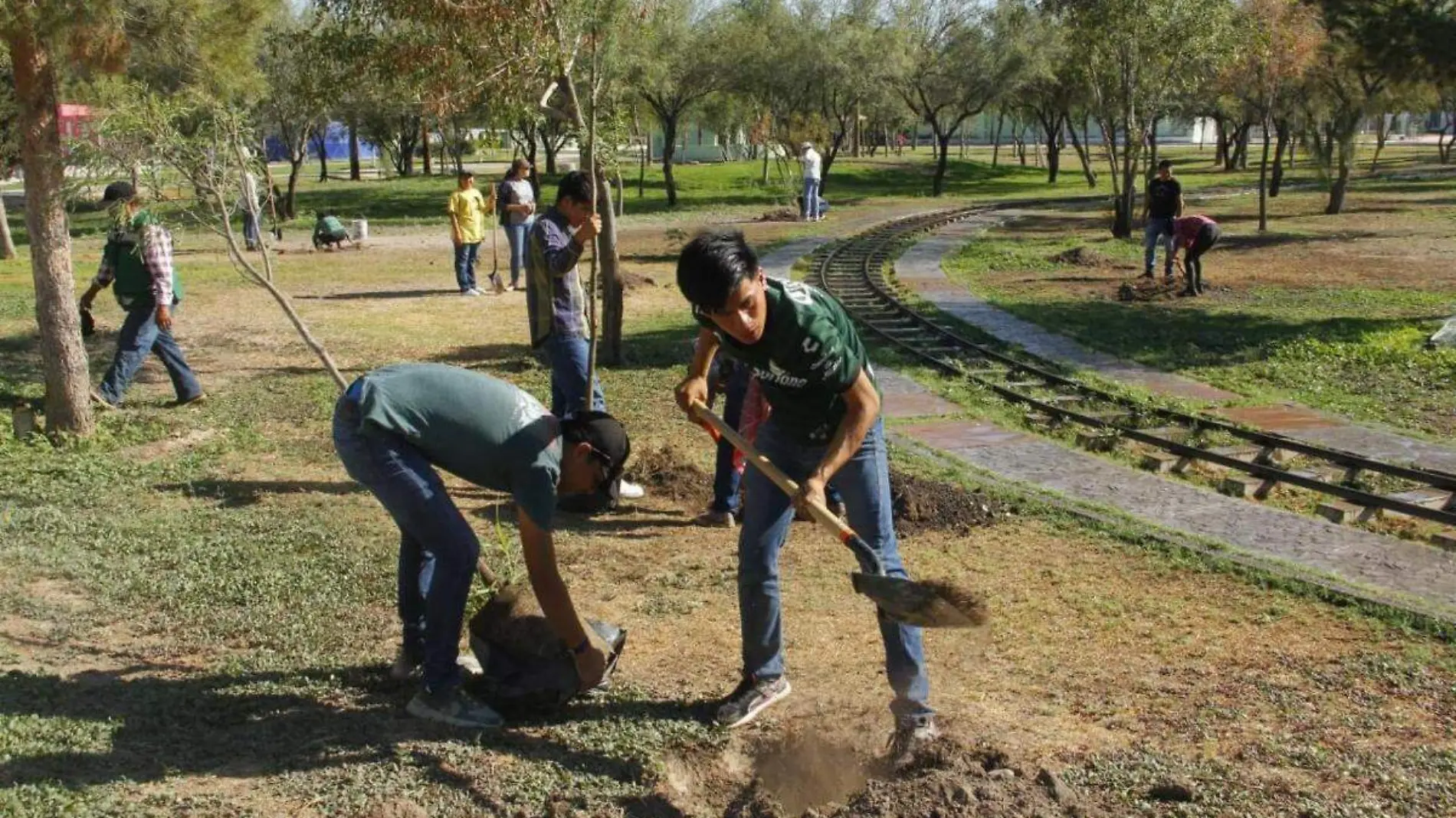 reforestación (3)